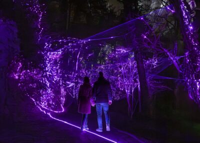 Licht Festival Caprera